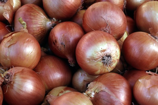 Mega onion